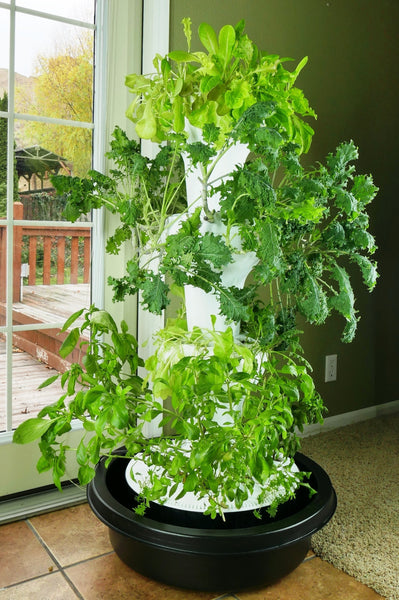 best plants to grow in hydroponic tower Foody 12 Hydroponic System
