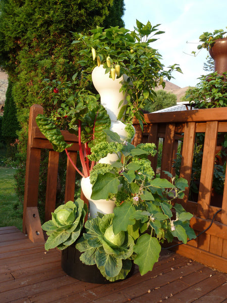 best outdoor hydroponic plants Foody 8 Hydroponic Tower