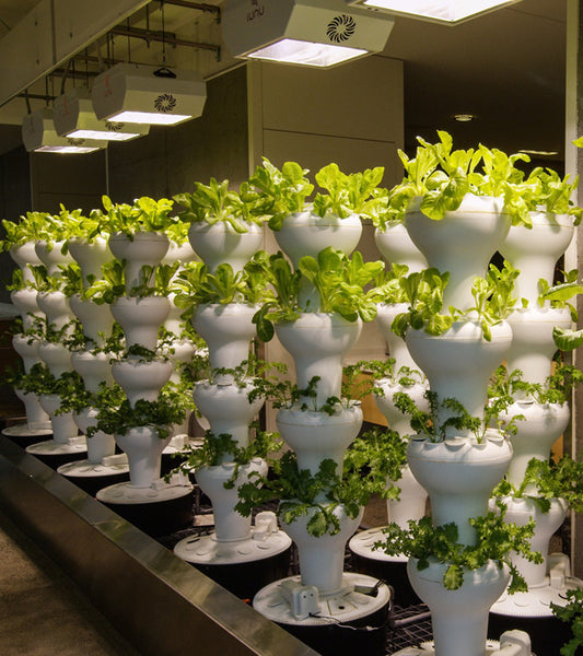 indoor planter tower Foody 12 Hydroponic System